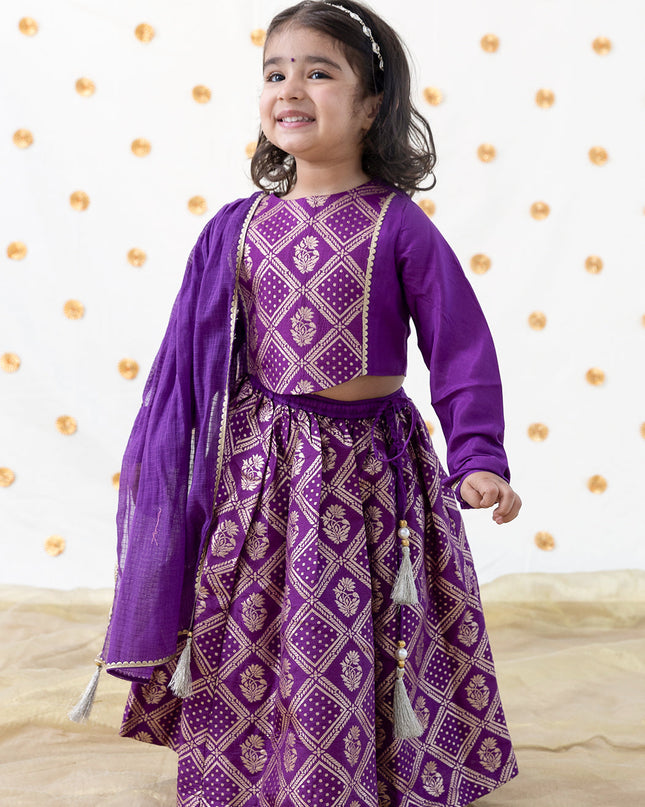 Regal Brocade Lehenga Set - Purple