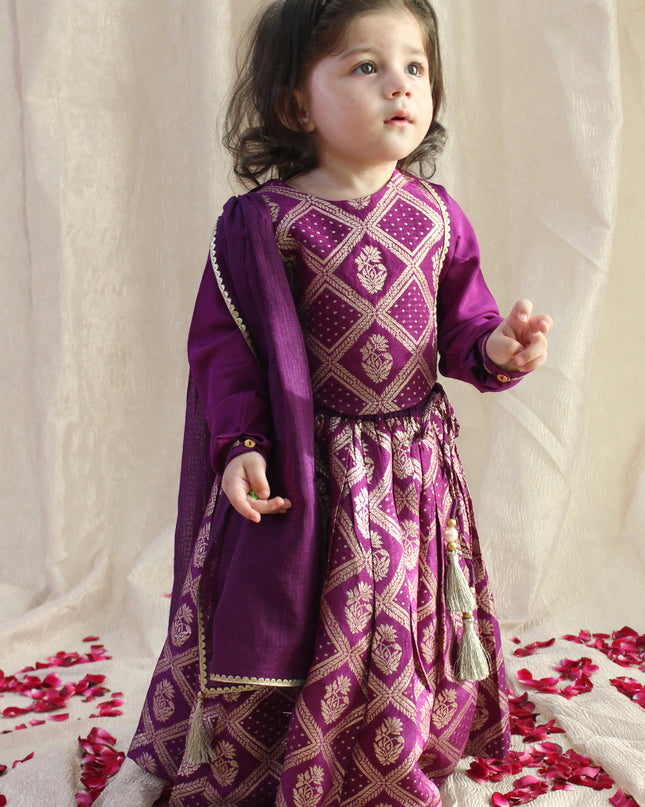 Regal Brocade Lehenga Set - Purple